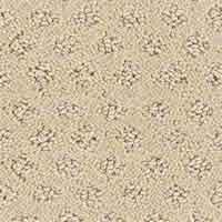 imgi_2_carpet